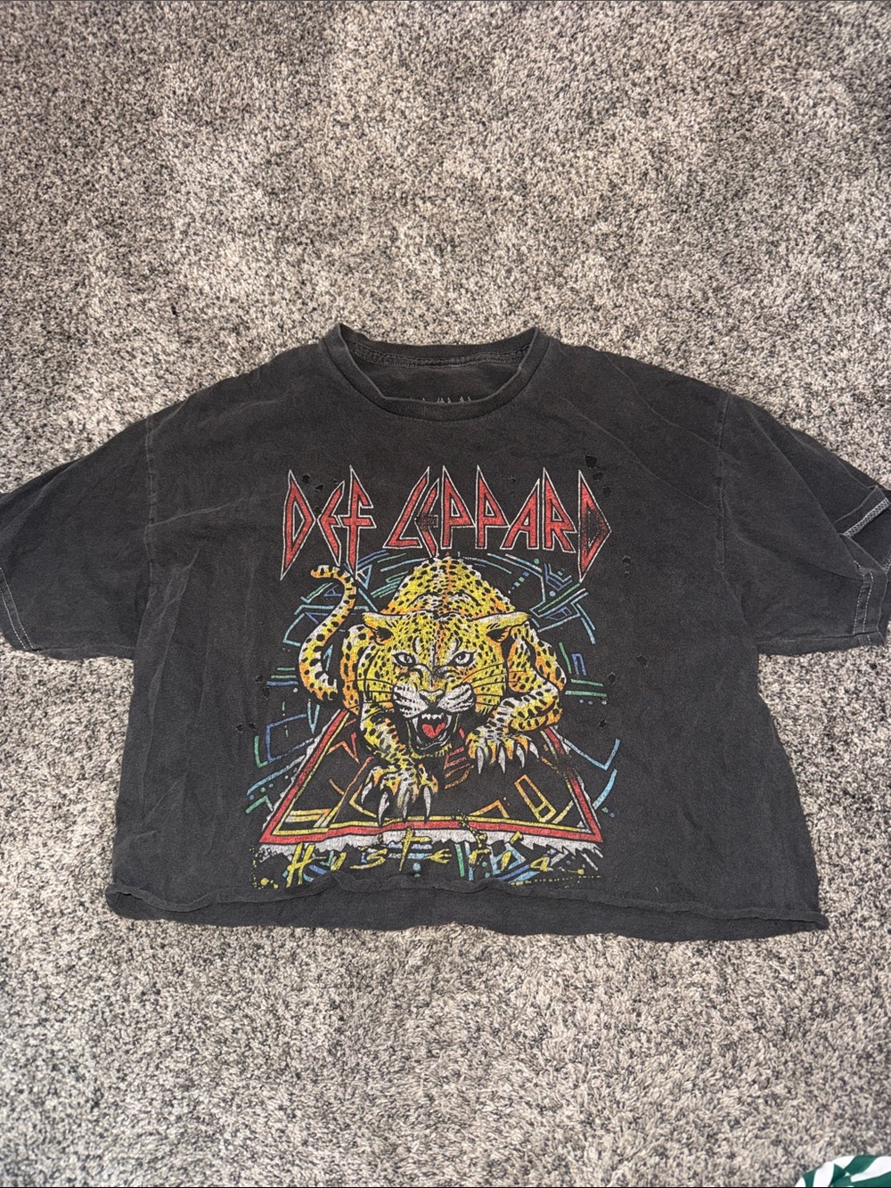 Def Leppard Altar'd State Black Cropped Tee